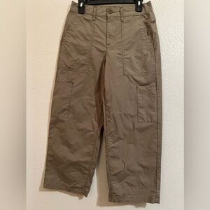 Agolde Daria ankle pants size 26